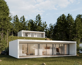 White house 3